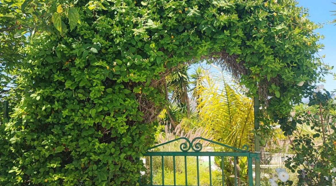 For sale house in Canillas - BluCee Real Estate (45)