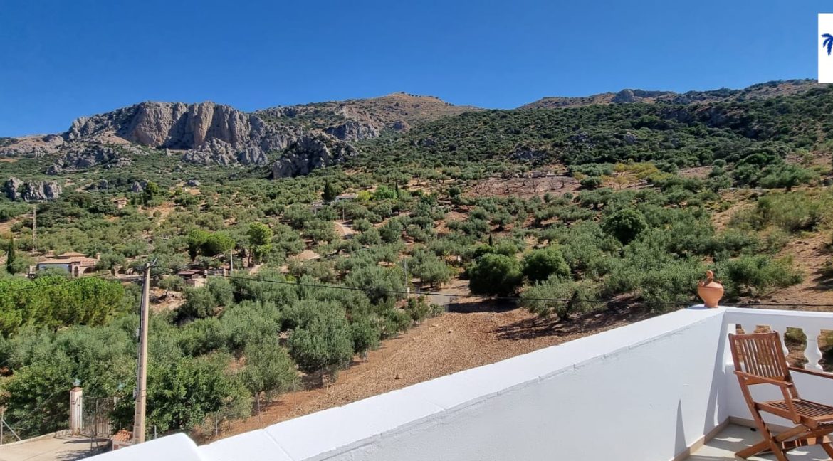 For Sale House in Alfarnatejo, La Axarquí, Málaga, Inland Andalusia (26)