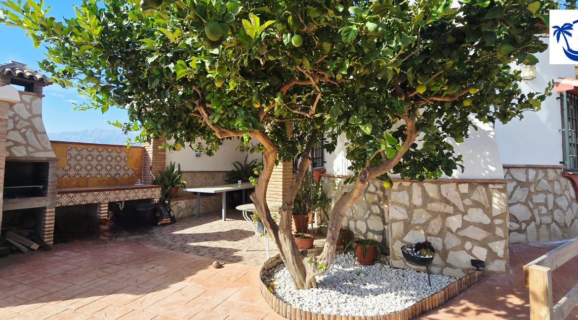 For sale house with mangos (16)