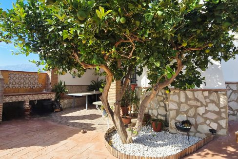 For sale house with mangos (16)