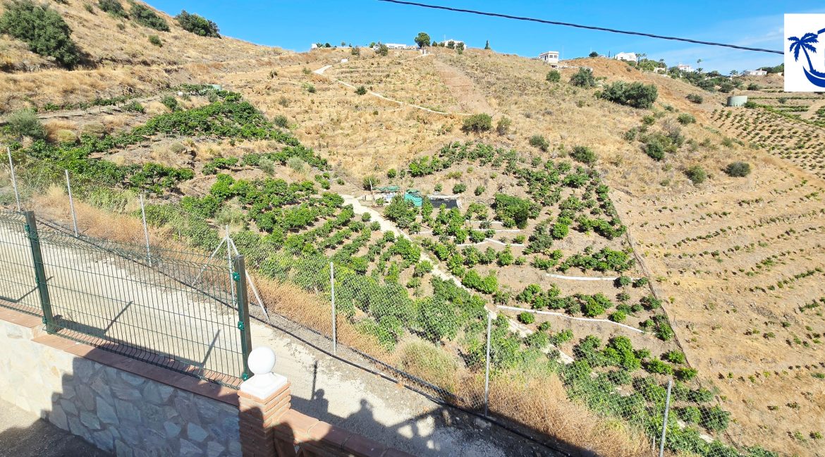 For sale house with mangos (17)