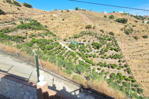 For sale house with mangos (17)