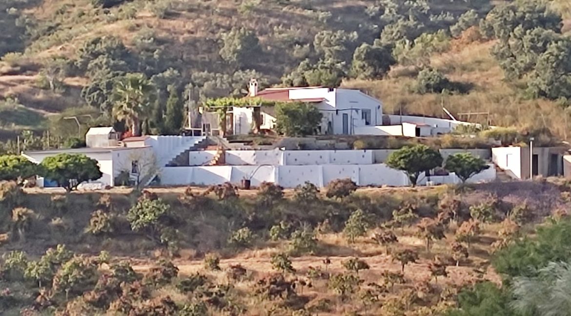For sale rustic house with mango trees on the Costa del Sol - BluCee Real Estate (2)