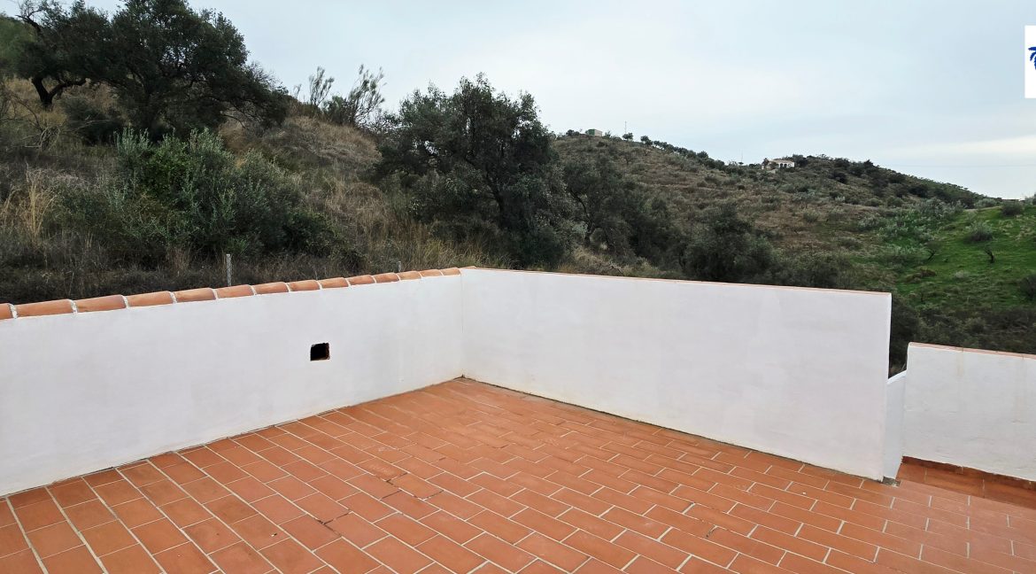 For sale rustic house with mango trees on the Costa del Sol - BluCee Real Estate (24)