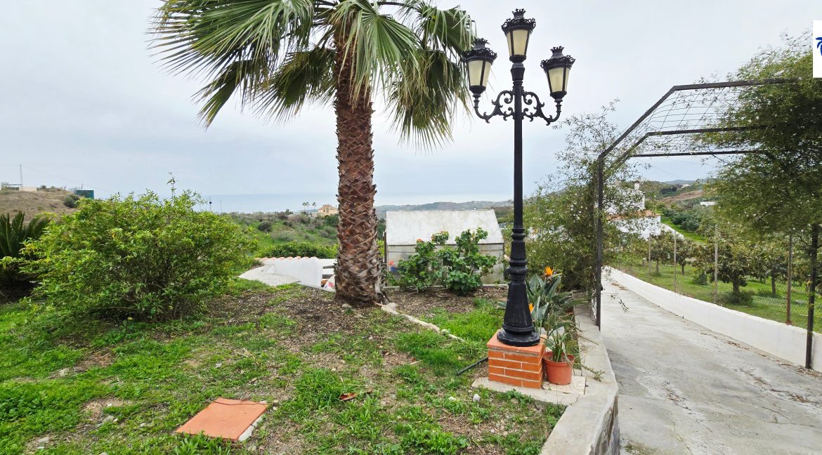 For sale rustic house with mango trees on the Costa del Sol - BluCee Real Estate (26)