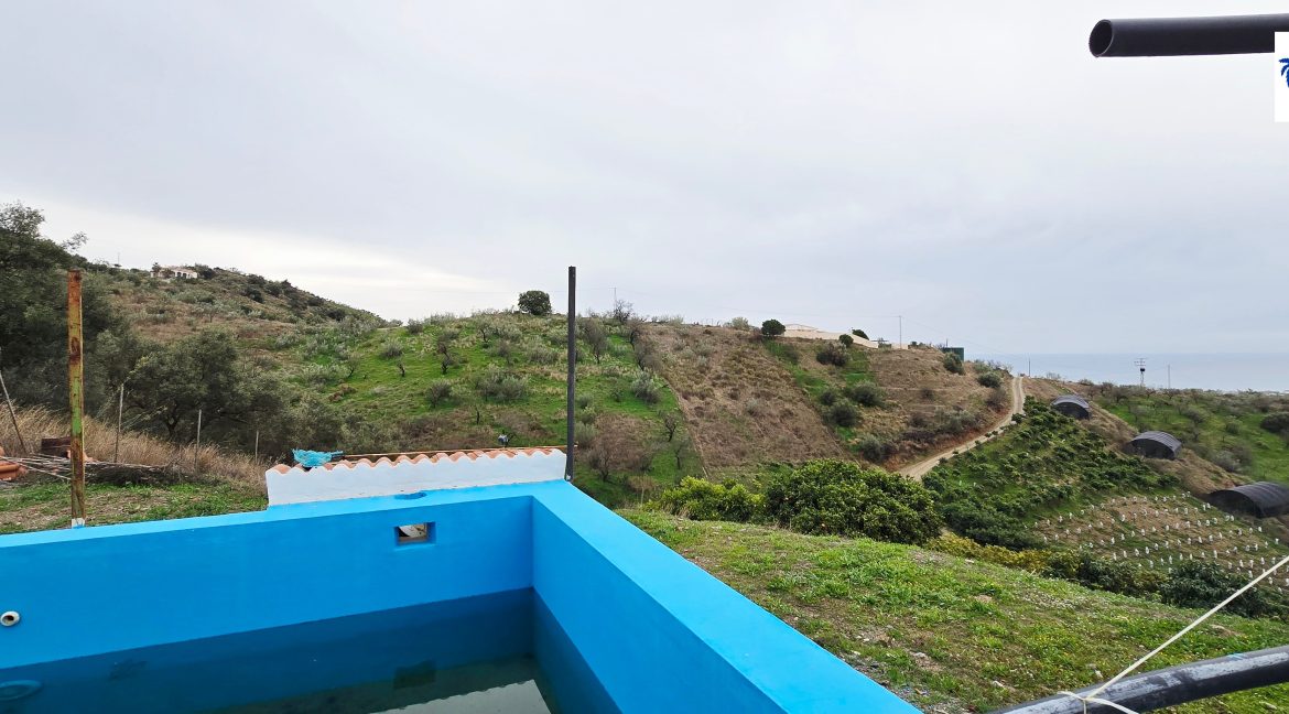 For sale rustic house with mango trees on the Costa del Sol - BluCee Real Estate (27)