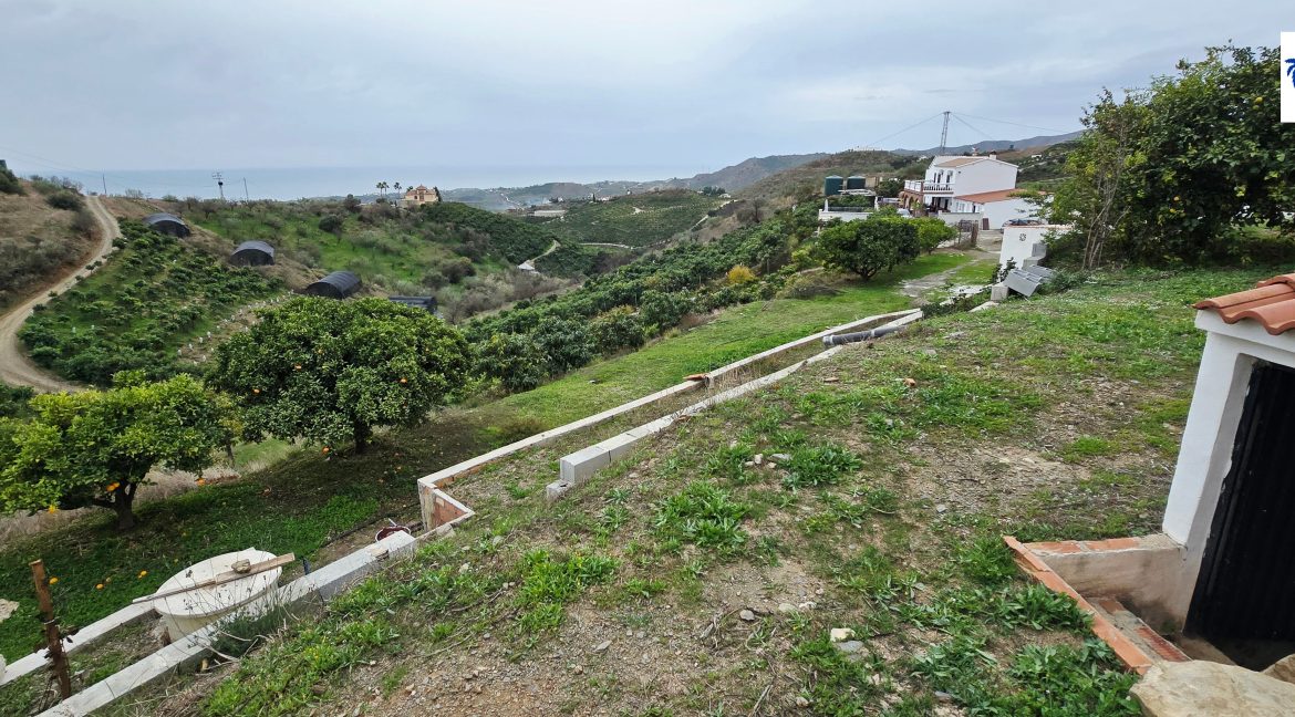 For sale rustic house with mango trees on the Costa del Sol - BluCee Real Estate (28)