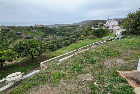 For sale rustic house with mango trees on the Costa del Sol - BluCee Real Estate (28)