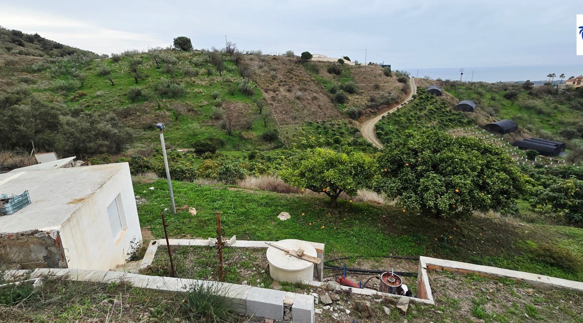 For sale rustic house with mango trees on the Costa del Sol - BluCee Real Estate (29)