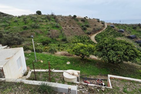 For sale rustic house with mango trees on the Costa del Sol - BluCee Real Estate (29)