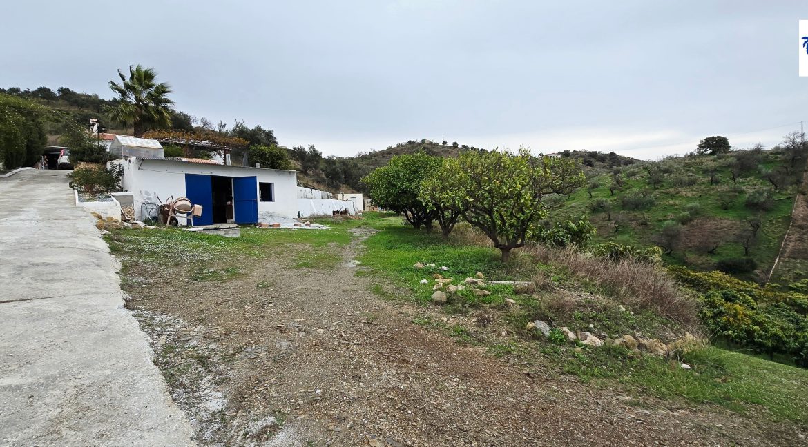 For sale rustic house with mango trees on the Costa del Sol - BluCee Real Estate (33)