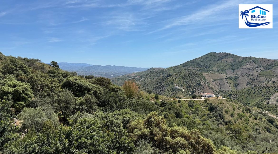 Country Villa For Sale in Comares with BluCee Real Estate (1)
