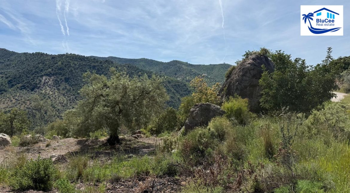 Country Villa For Sale in Comares with BluCee Real Estate (29)