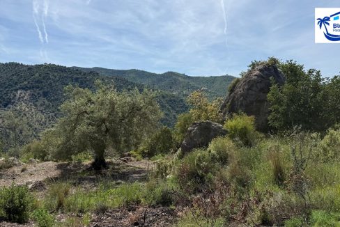 Country Villa For Sale in Comares with BluCee Real Estate (29)