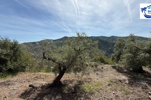 Country Villa For Sale in Comares with BluCee Real Estate (30)