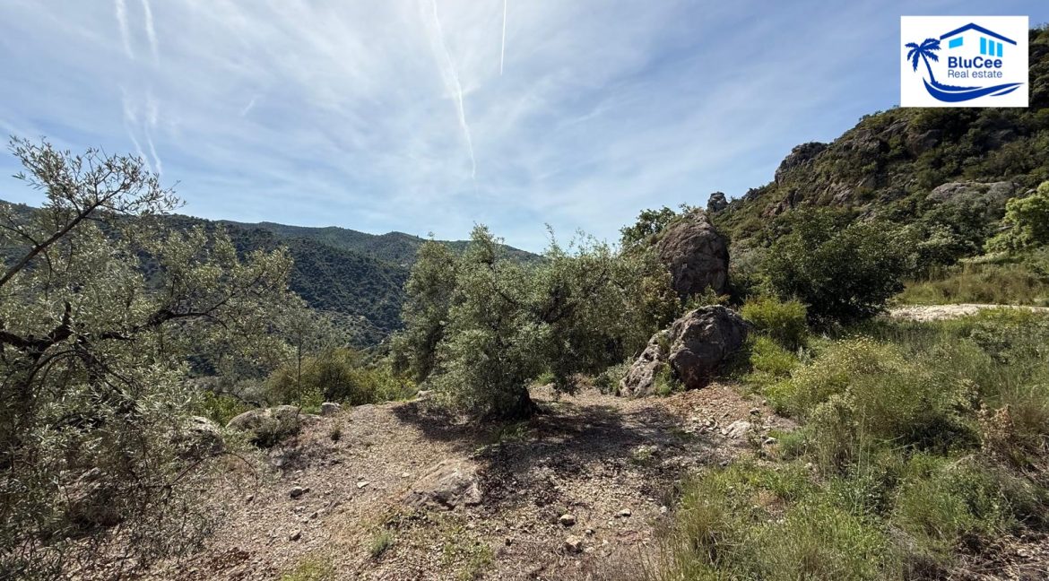 Country Villa For Sale in Comares with BluCee Real Estate (31)