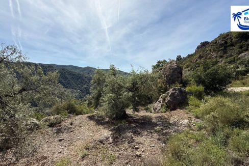 Country Villa For Sale in Comares with BluCee Real Estate (31)