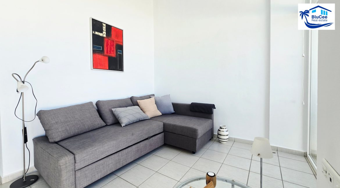 For Sale Villa with Amazing Views - BluCee Real Estate (17)