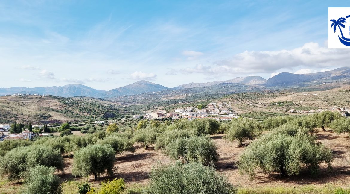 For sale independent villa with large swimming pool and views - BluCee Real Estate (11)