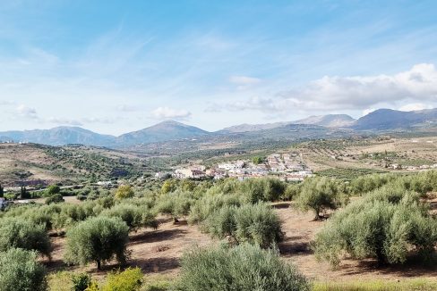 For sale independent villa with large swimming pool and views - BluCee Real Estate (11)