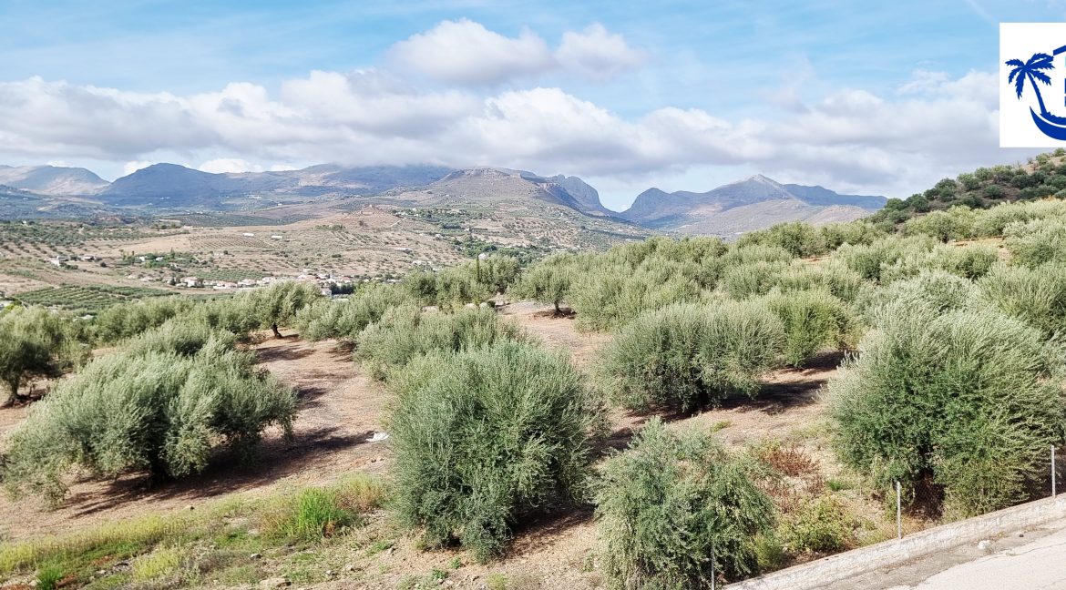 For sale independent villa with large swimming pool and views - BluCee Real Estate (12)