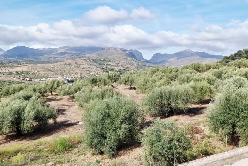 For sale independent villa with large swimming pool and views - BluCee Real Estate (12)