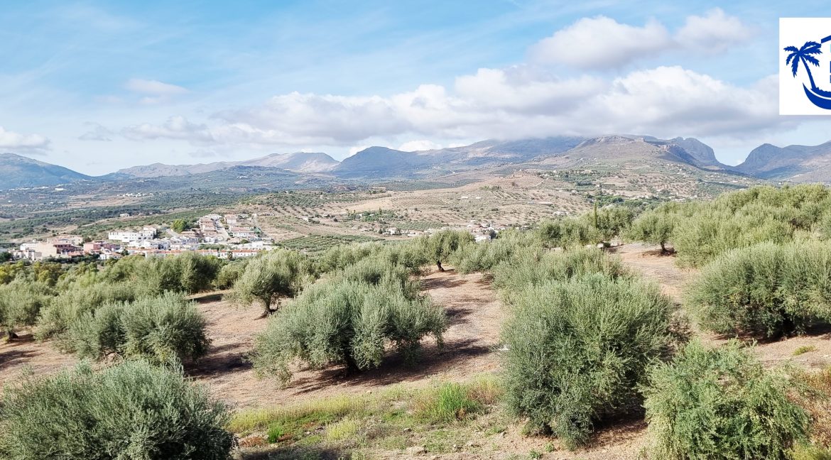 For sale independent villa with large swimming pool and views - BluCee Real Estate (13)