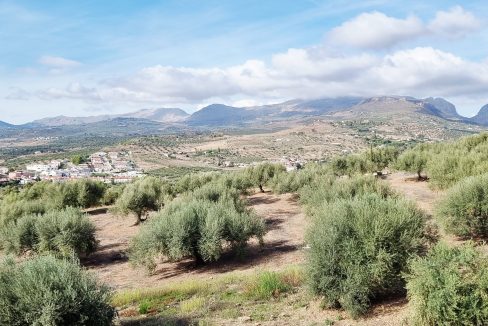 For sale independent villa with large swimming pool and views - BluCee Real Estate (13)