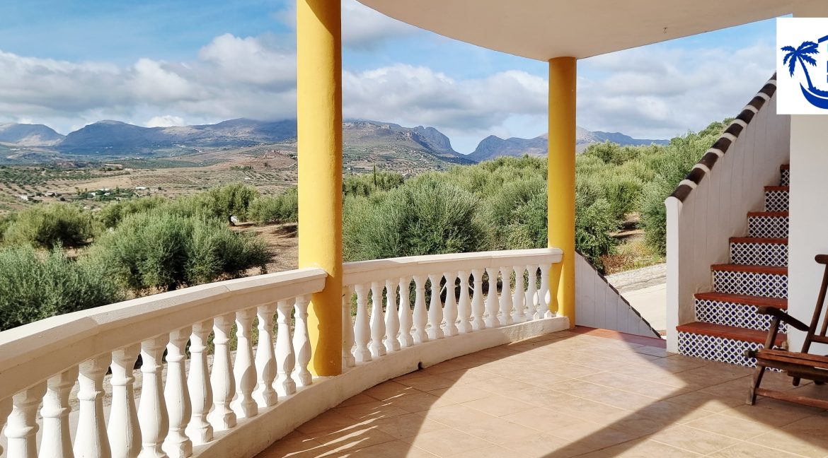 For sale independent villa with large swimming pool and views - BluCee Real Estate (15)