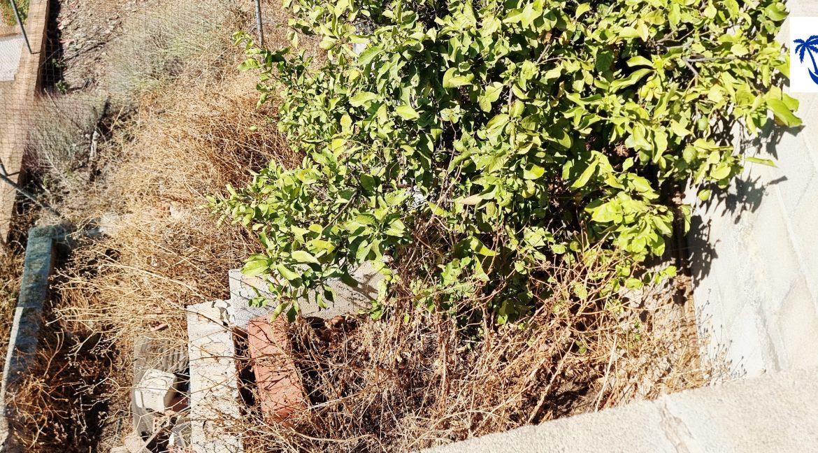 For sale property in the countryside of Cajiz, Málaga - BluCee Real Estate (4)