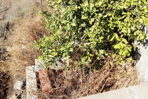 For sale property in the countryside of Cajiz, Málaga - BluCee Real Estate (4)